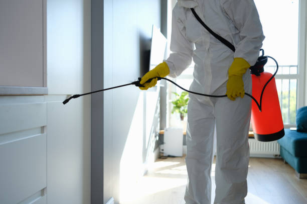 Best Professional Mold Removal  in Highland Village, TX