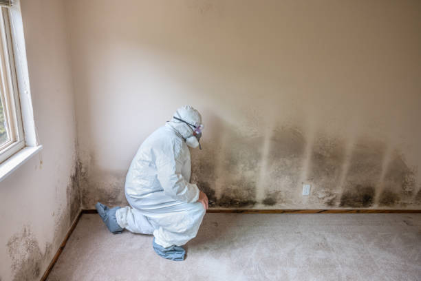 Crawl Space Mold Removal in Highland Village, TX